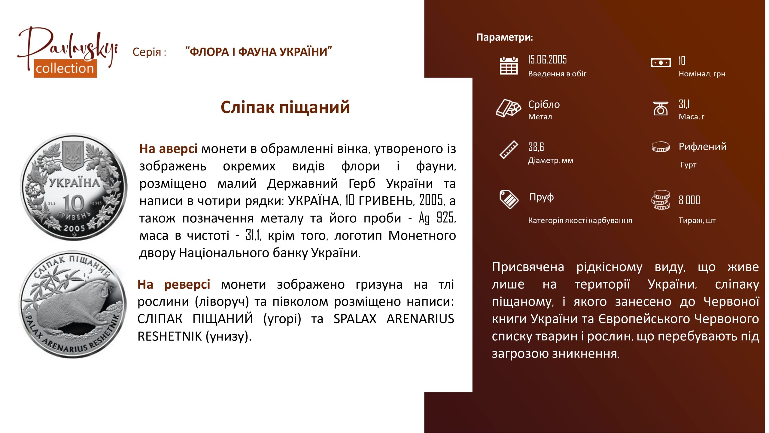 Детальніше про статтю Сліпак піщаний