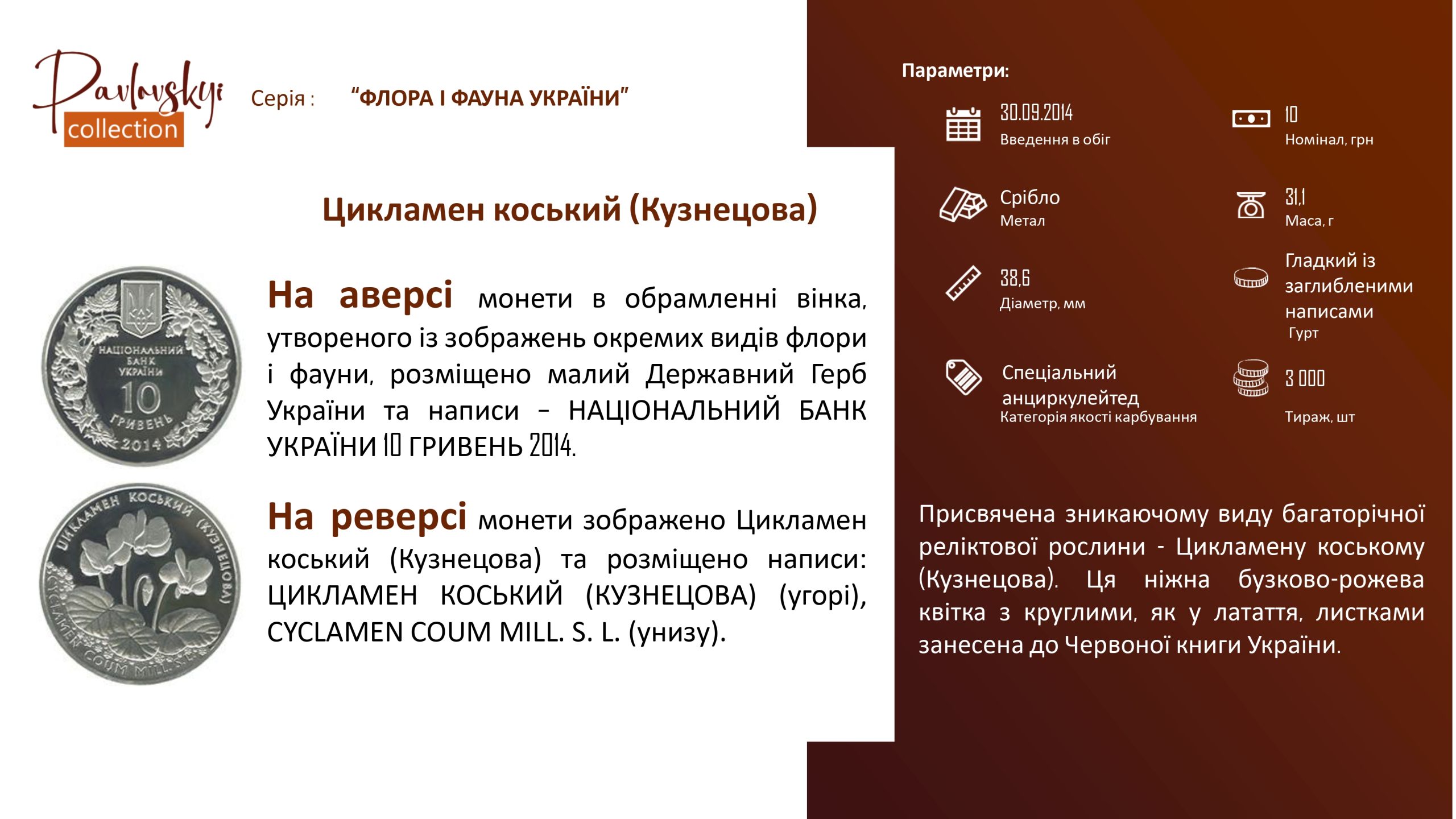 Детальніше про статтю Цикламен коський (Кузнецова)