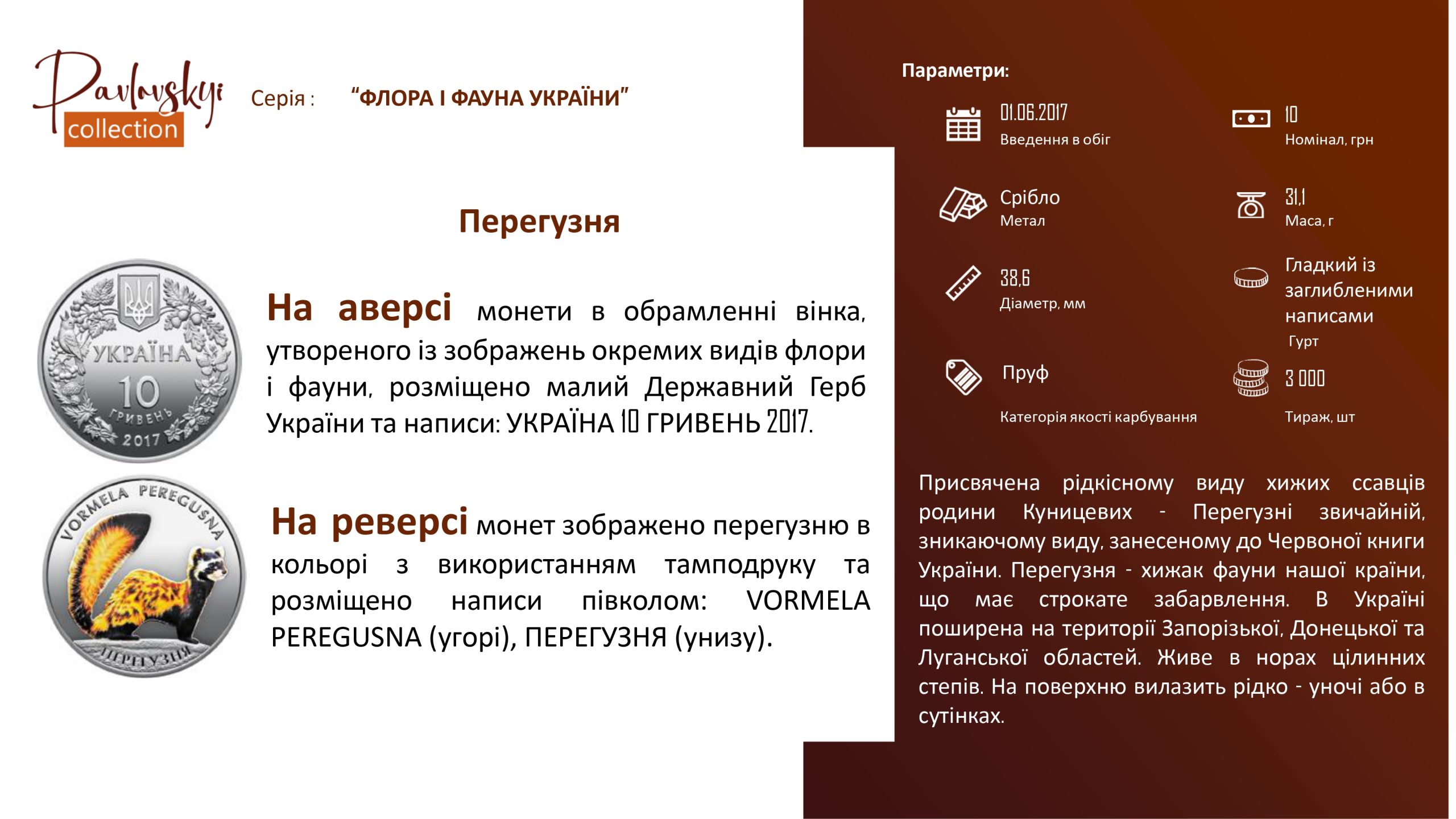 Детальніше про статтю Перегузня