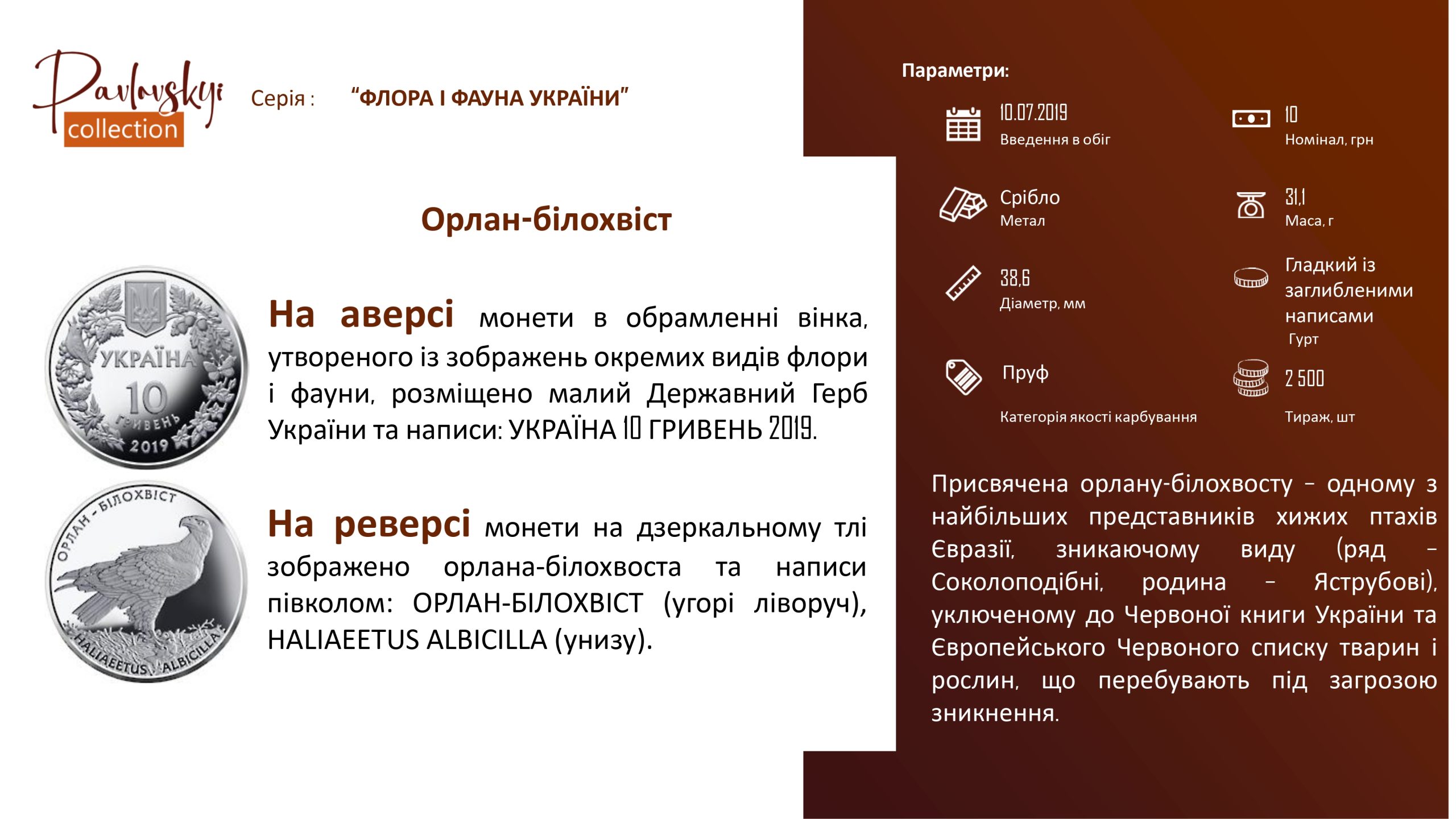 Детальніше про статтю Орлан-білохвіст