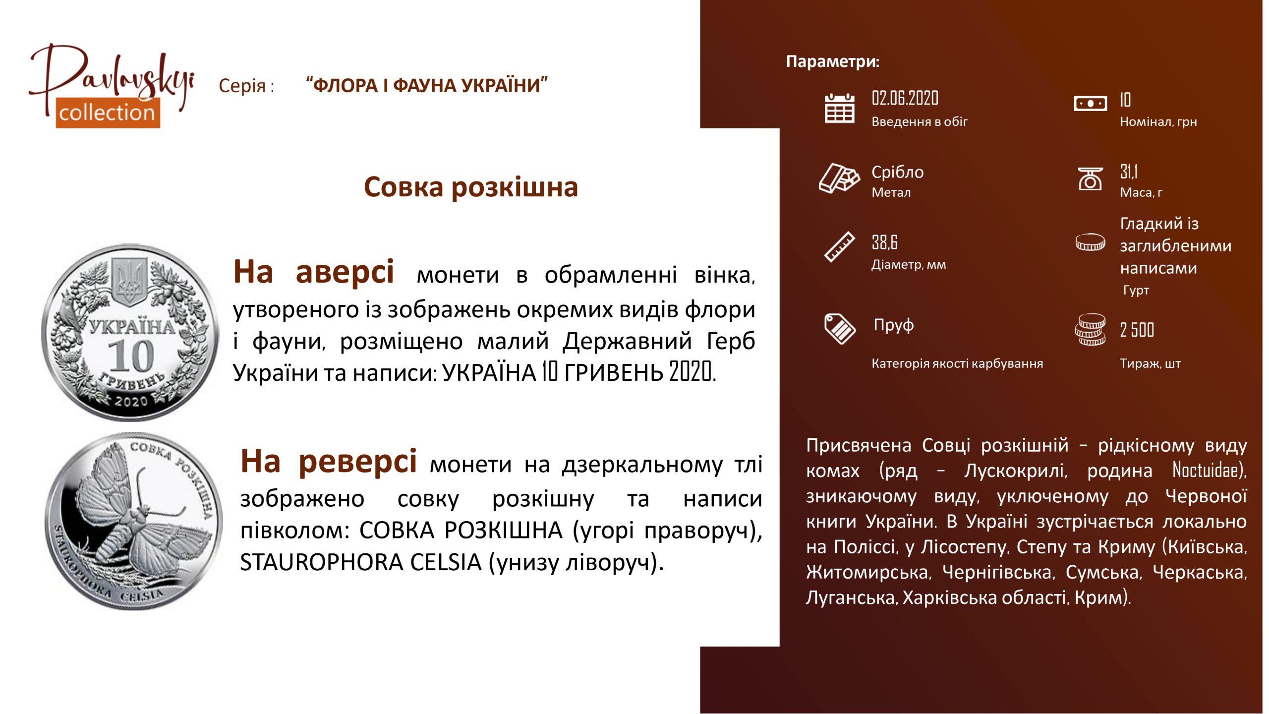 Детальніше про статтю Совка розкішна