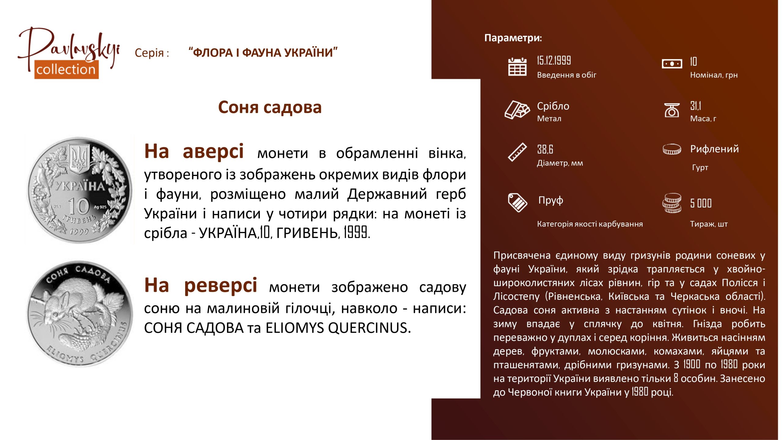Детальніше про статтю Соня садова