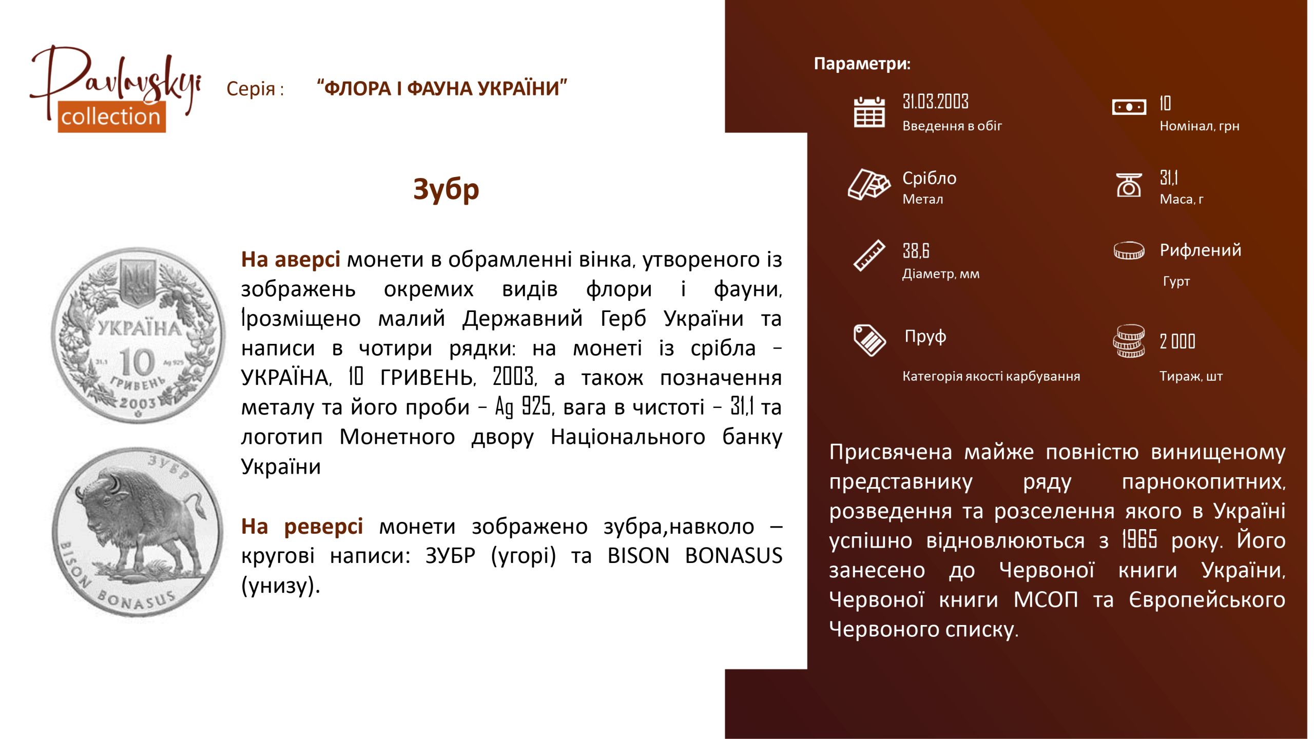 Детальніше про статтю Зубр