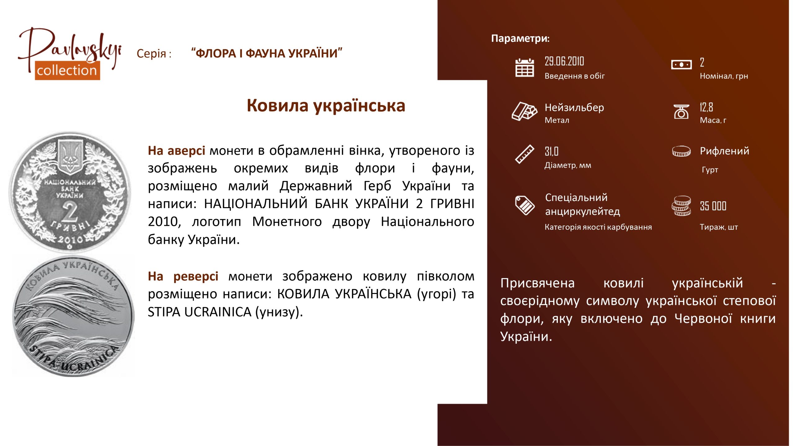 Ви зараз переглядаєте Ковила українська