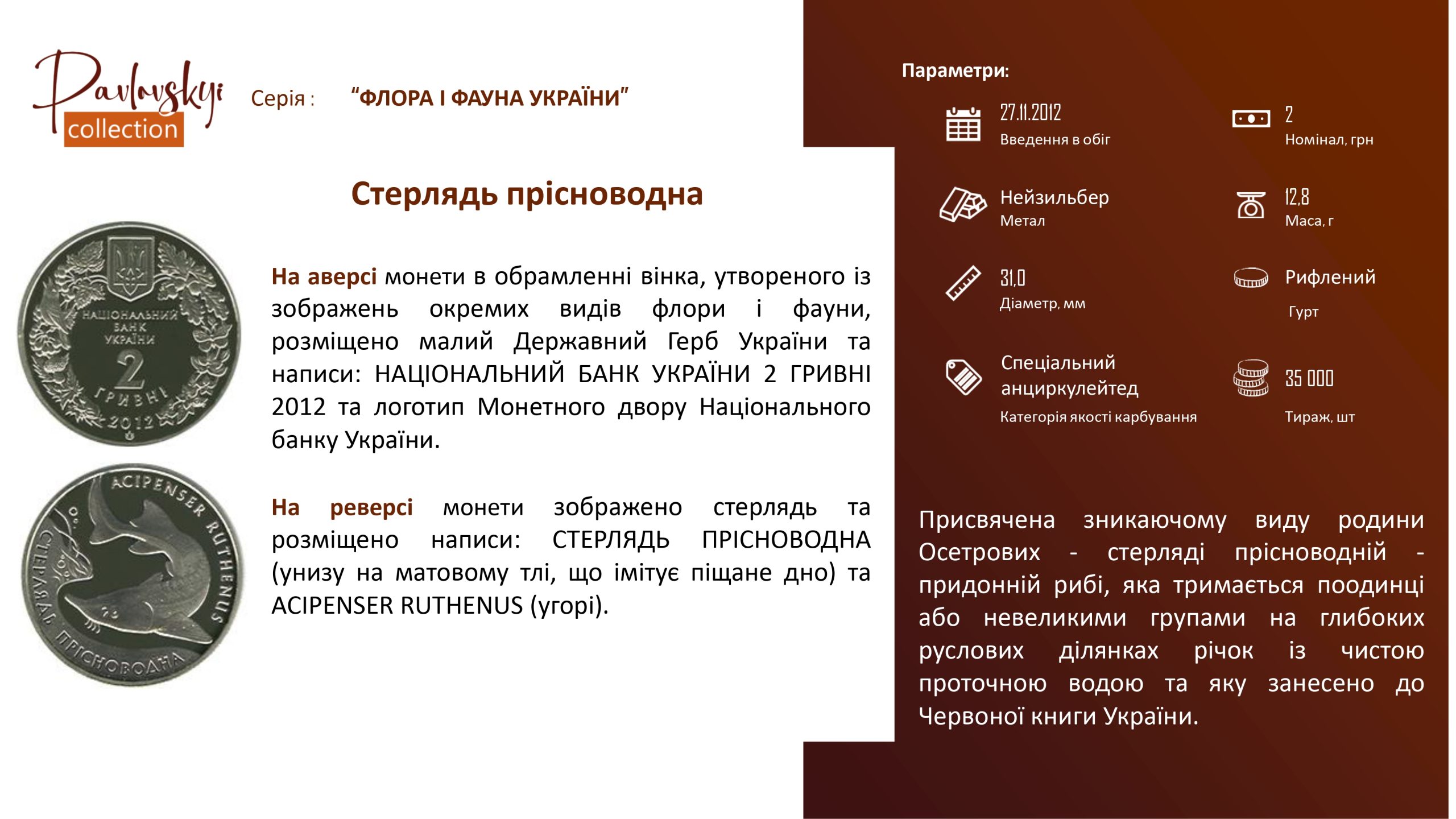 Детальніше про статтю Стерлядь прісноводна