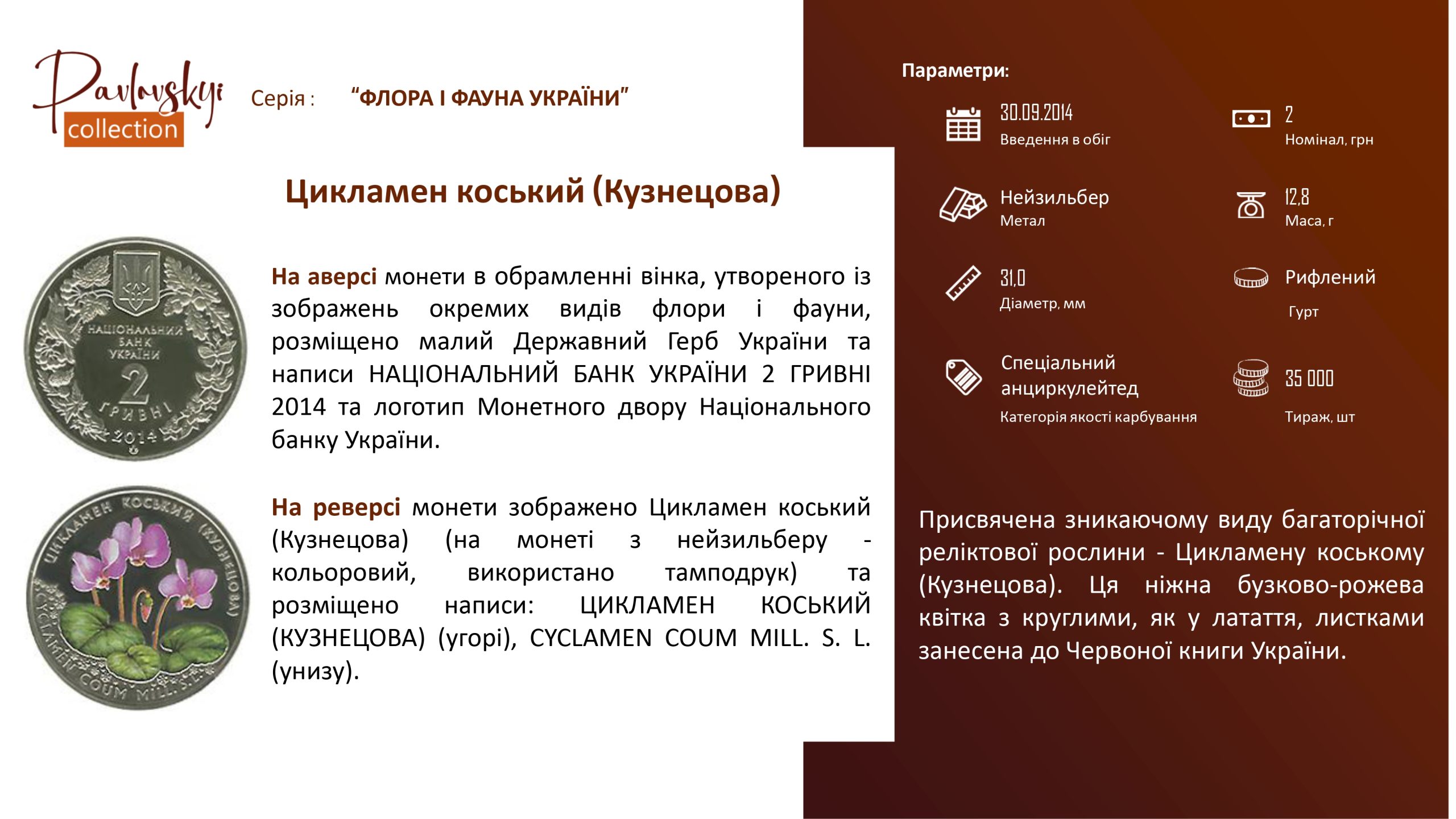 Детальніше про статтю Цикламен коський (Кузнецова)