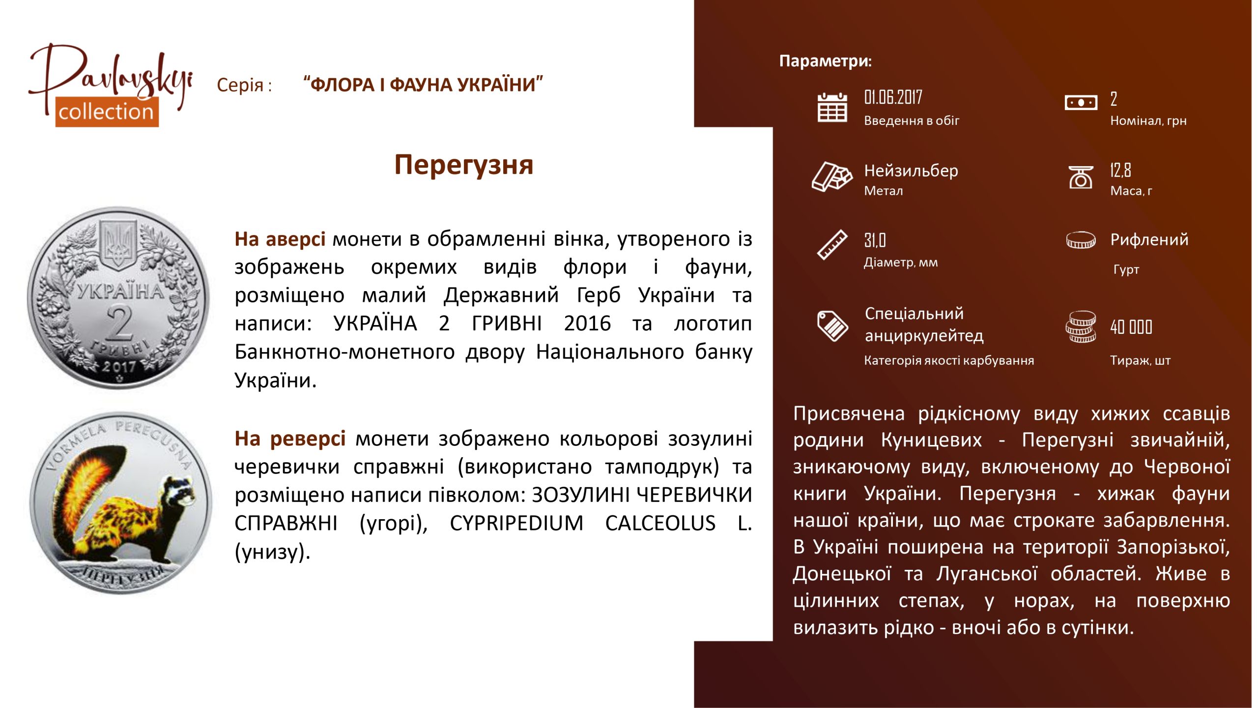 Детальніше про статтю Перегузня