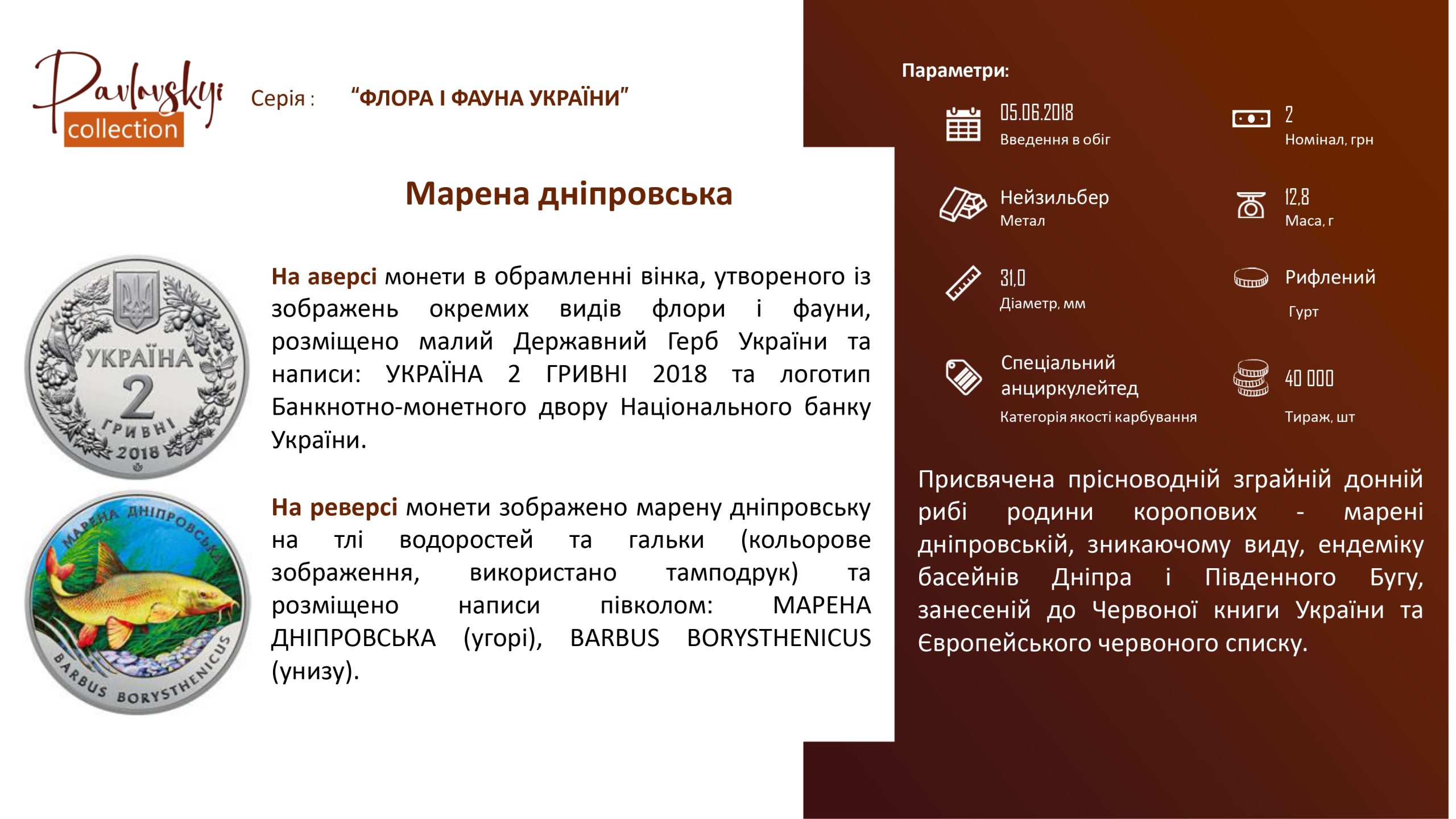 Детальніше про статтю Марена дніпровська