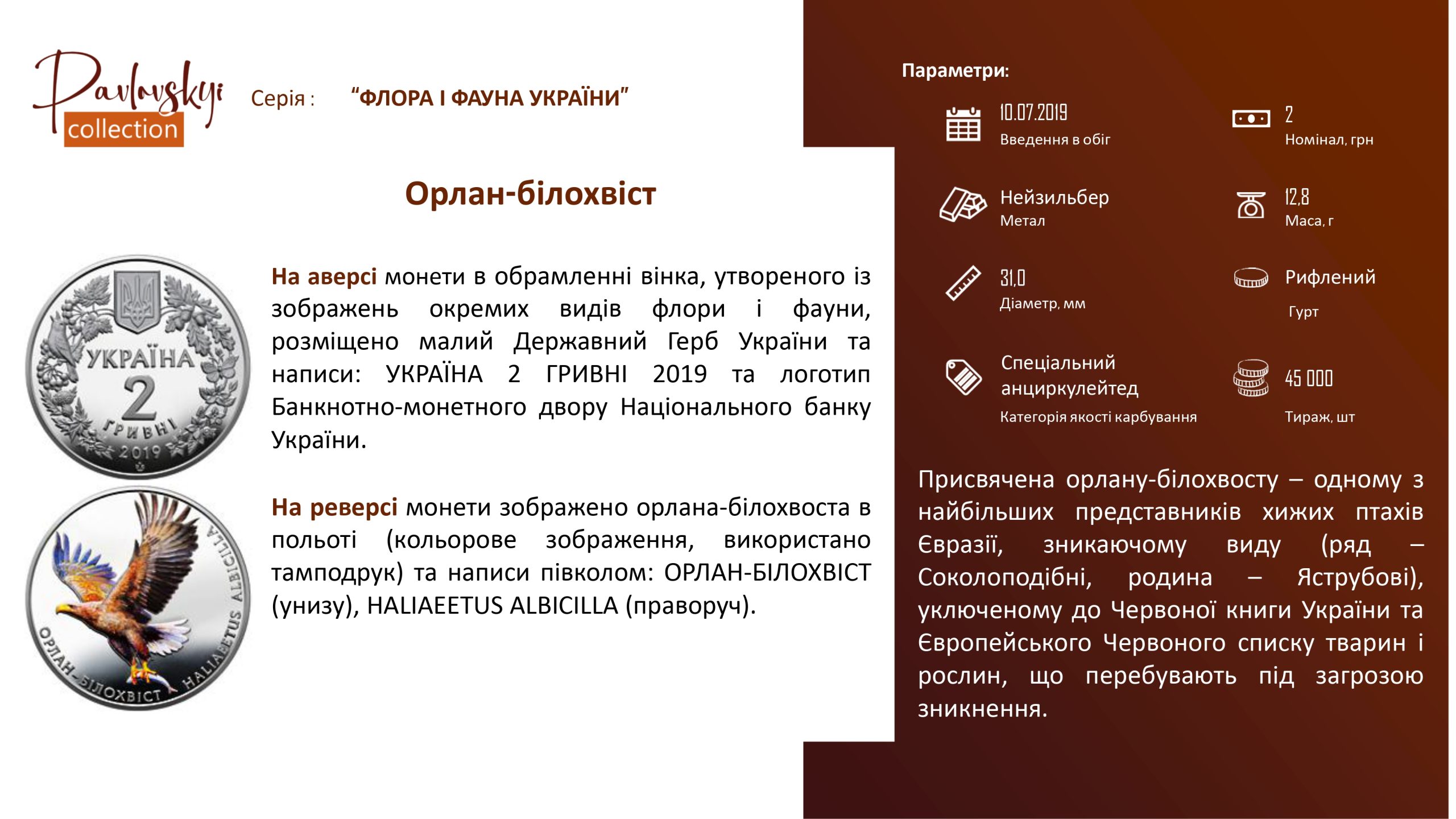 Детальніше про статтю Орлан-білохвіст