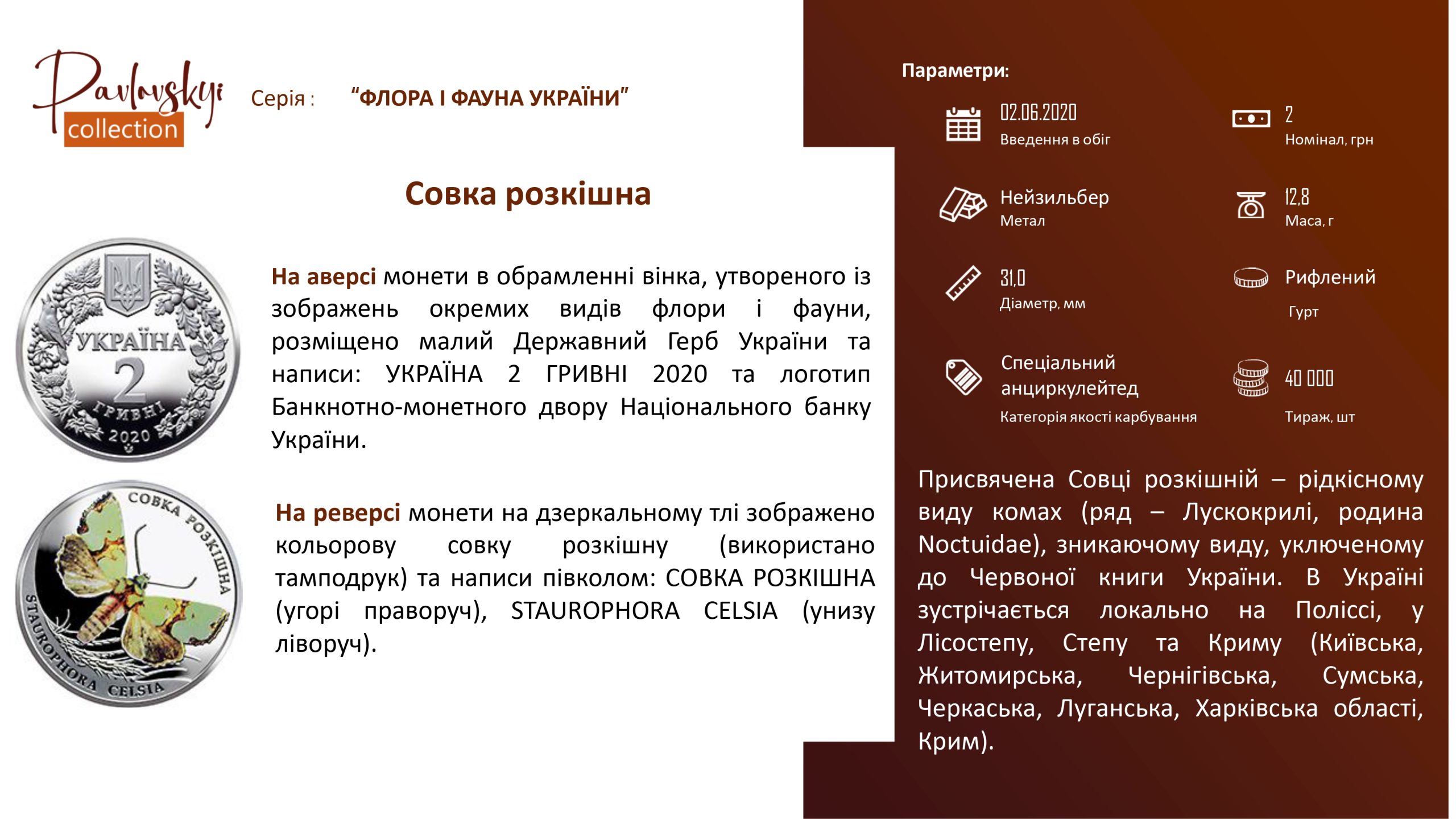 Детальніше про статтю Совка розкішна