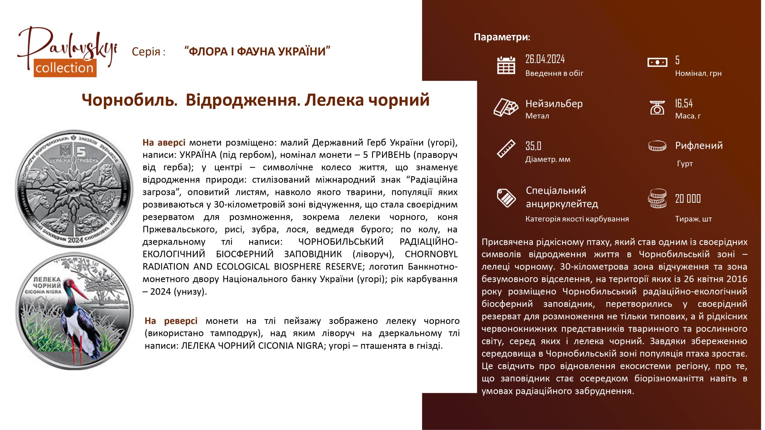 Детальніше про статтю Чорнобиль. Відродження. Лелека чорний