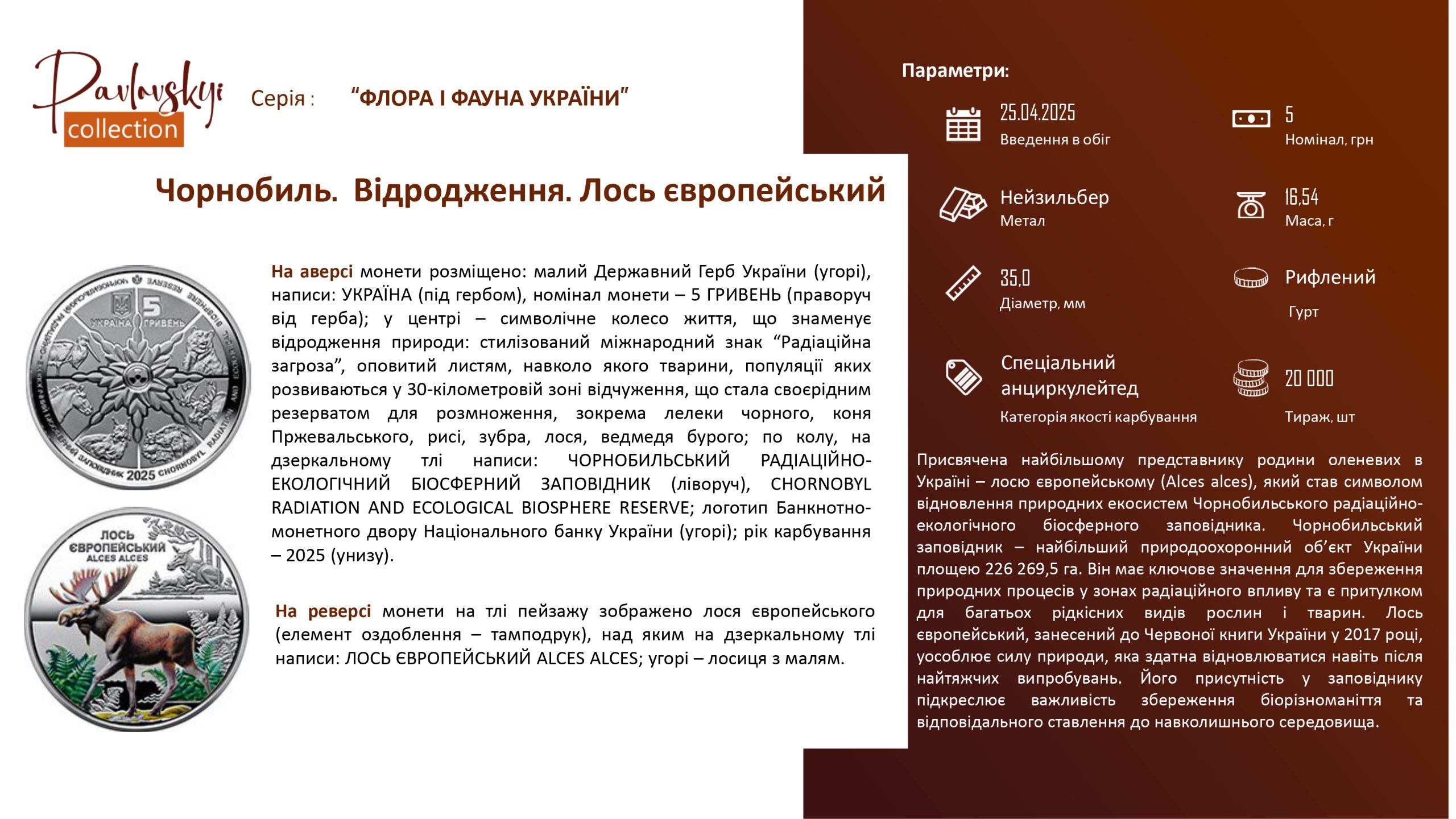 Детальніше про статтю Чорнобиль. Відродження. Лось європейський