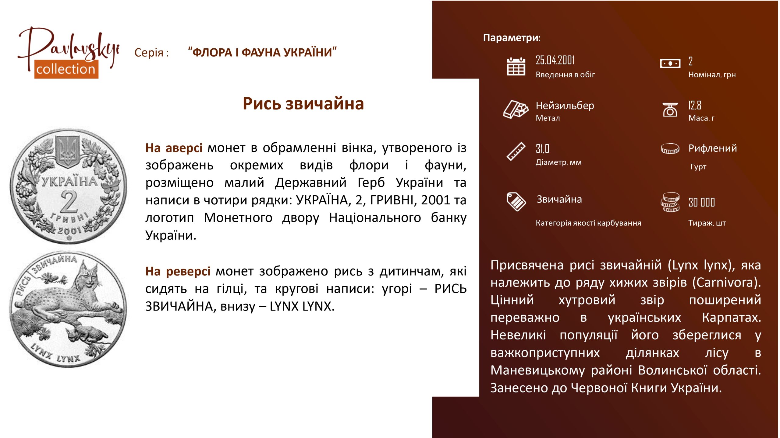 Ви зараз переглядаєте Рись звичайна